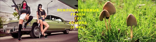 первитин Алзамай