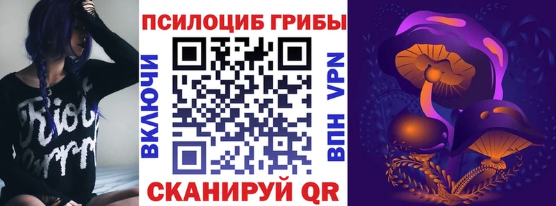 ссылка на мегу tor  Раменское  Псилоцибиновые грибы MAGIC MUSHROOMS 