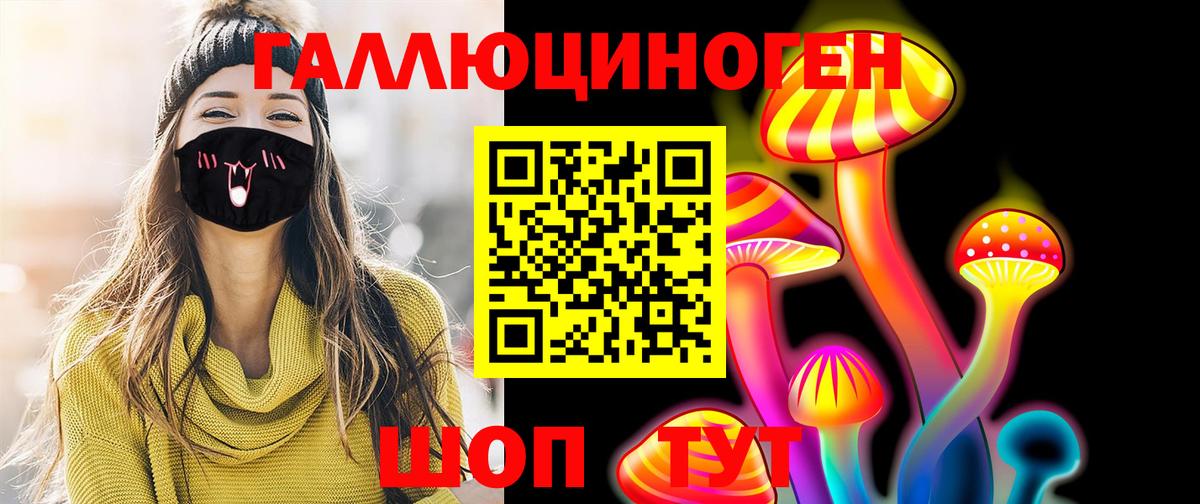 Галлюциногенные грибы Psilocybe Раменское
