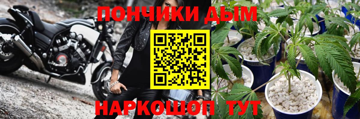 Бошки марихуана AK-47  Бошки марихуана White Widow  Шишки марихуана конопля  Вход с VPN  Раменское 
